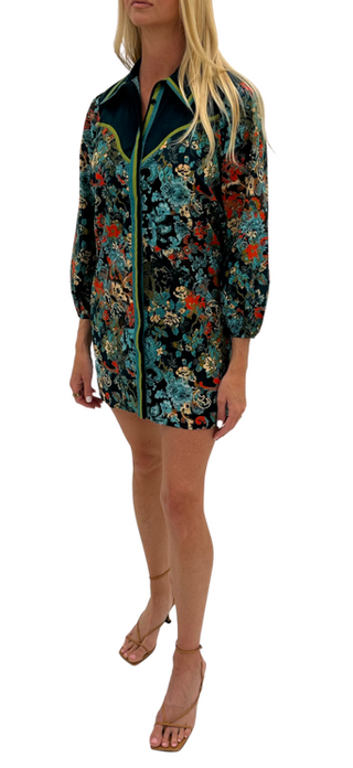 Riles Dress - Fall Mix