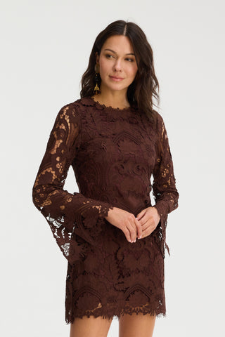 Daisy Dress - Chocolate Brown
